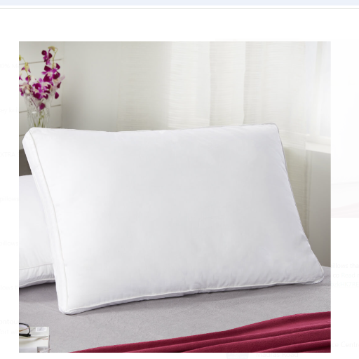  Tender Plush Pillow (17 x 27) GIGBOAT PRIVATE LIMITED PEPS MATTRESSGROUND FLOOR23 TRINITY ENCLAVE OLD MADRAS ROAD