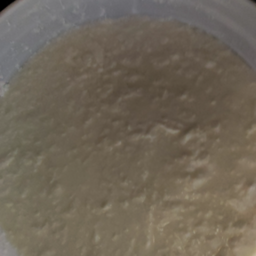  Dahi PUDHARI DUDH DAIRY AND DAILEY NEEDS PUDHARI DUDH DAIRY  AND DAILEY NEEDS  PUSHKARNA COLONY ANJANSINGI ROAD NEAR POLYTECHNIC COLLEGE DHAMANGAON RAILWAY LANDMARK BEHIND SBI ATM