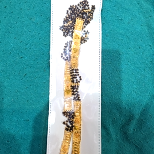  MS Larhi RADHE RADHE BANDHEL JEWELLERY WARD NO 20 MAIN ROAD PURNIA GOLA NAGAR PARISHAD MADHEPURA MADHEPURA MADHEPURA BIHAR