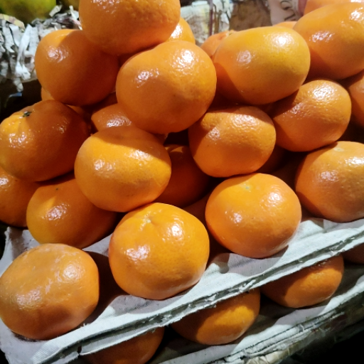  Mini orange KASHI RAM FRUIT TRADERS SECTOR 44 VILLAGECHHALERA NOIDAGAUTAMBUDDHA NAGAR UTTAR PRADESH 201301 201301