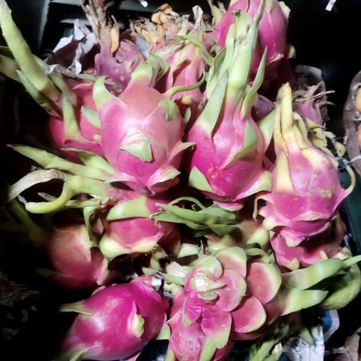  Dragon fruit(white) KASHI RAM FRUIT TRADERS SECTOR 44 VILLAGECHHALERA NOIDAGAUTAMBUDDHA NAGAR UTTAR PRADESH 201301 201301