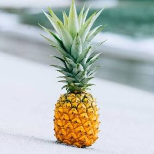 Pineapple-https://media.vyaparify.com/vcards/products/406428/product_1762802070_69123996bf3bc.png Image