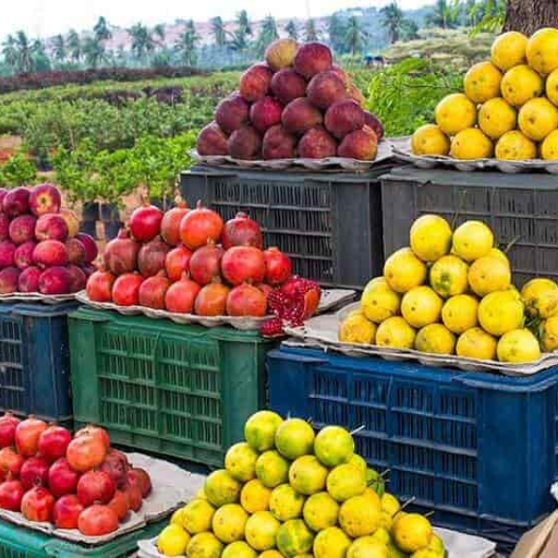 Fruits-https://media.vyaparify.com/vcards/products/411110/product_1763056511_69161b7f7c27e.png Image