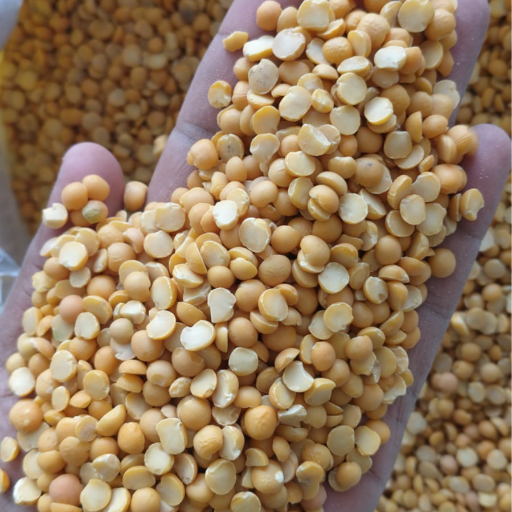 Holsel grocery-https://media.vyaparify.com/vcards/products/411931/product_1763109612_6916eaec0d848.png Image