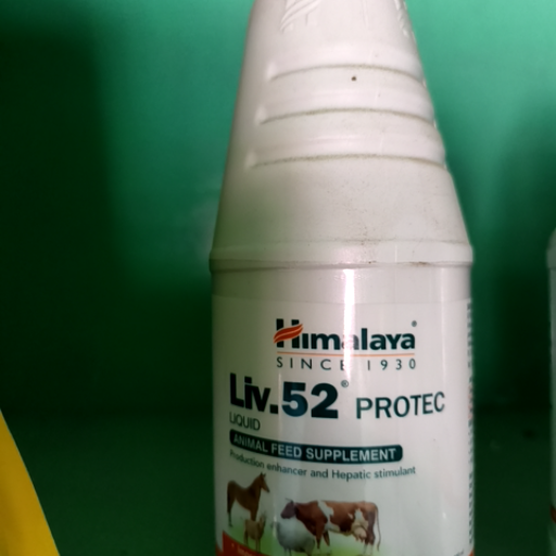 Liv52-https://media.vyaparify.com/vcards/products/412189/product_1763113863_6916fb8764b79.png Image