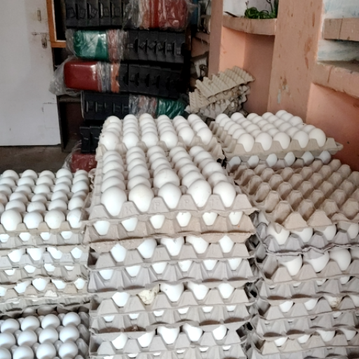 Eggs-https://media.vyaparify.com/vcards/products/422749/product_1763708454_69200e26298e3.png Image