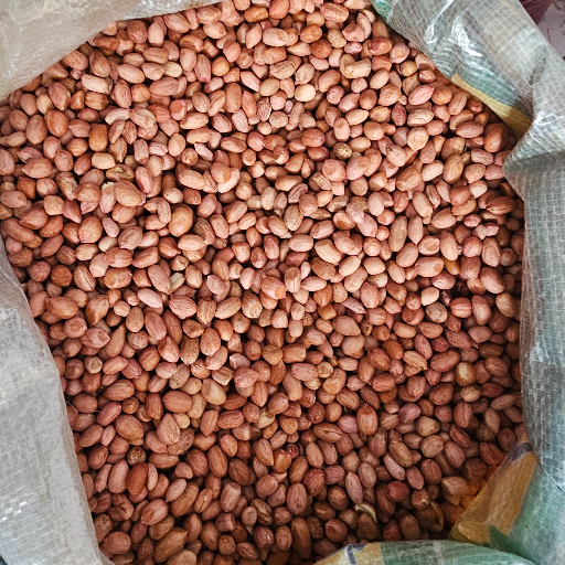 Mugfali dana-https://media.vyaparify.com/vcards/products/423126/product_1763713521_692021f1a7846.png Image