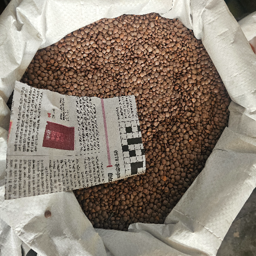  Masoor dal GOYAL TRADING COMPANY 23 179 5 BALDEV GANJ LOHA MANDI AGRA AGRA UTTAR PRADESH 282002 282002 LANDMARK Near Loha Mandi Chauraha