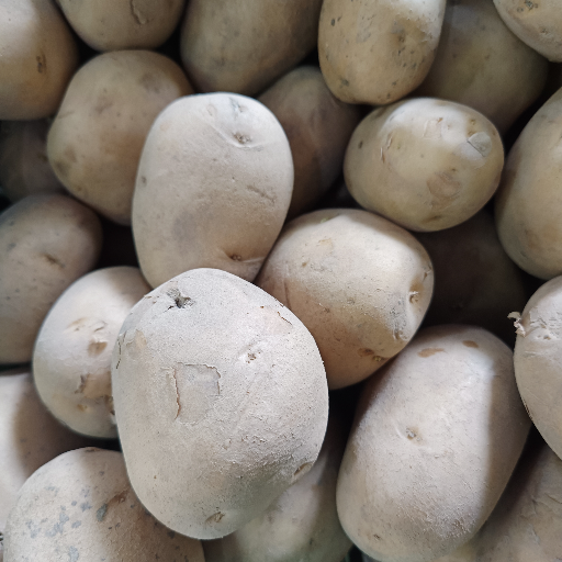 Potato 1 kg-https://media.vyaparify.com/vcards/products/427647/product_1764092687_6925eb0f753da.png Image