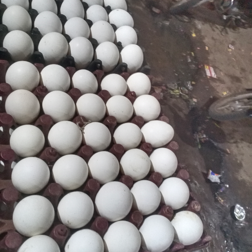  Eggs JAISWAL NASTA CORNER ADA MODE NAINIINFRONT OF KALLUSWEET HOUSE NAINI