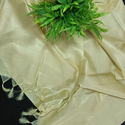 Tussar Munga silk Dupatta - Image 2