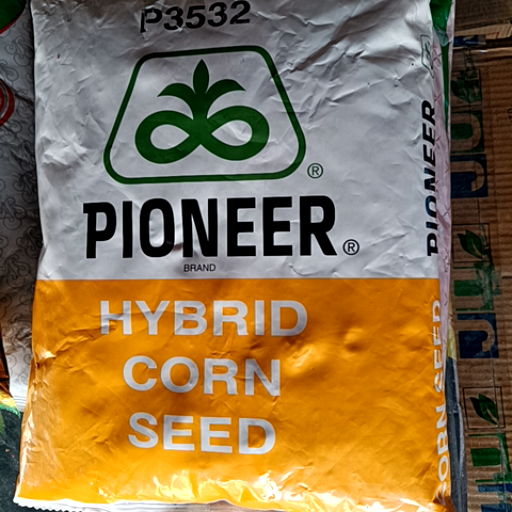 RICE-https://media.vyaparify.com/vcards/products/433043/product_1764571932_692d3b1c859bf.png Image