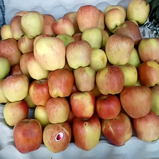 Appla-https://media.vyaparify.com/vcards/products/435350/product_1764671139_692ebea35563d.png Image