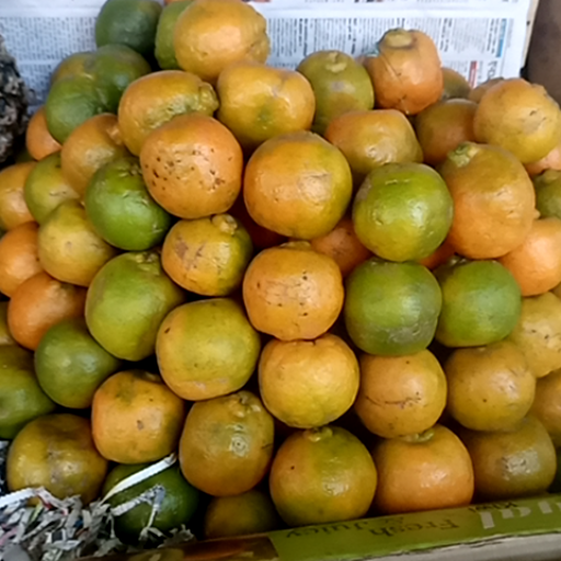 Orange-https://media.vyaparify.com/vcards/products/435373/product_1764671327_692ebf5fea59f.png Image