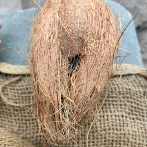 COCONET-https://media.vyaparify.com/vcards/products/435379/product_1764671437_692ebfcd8320f.png Image