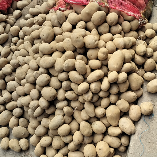 aaloo-https://media.vyaparify.com/vcards/products/437418/product_1764757773_6930110d8a739.png Image