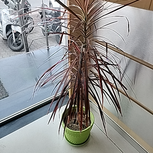 Flower pot-https://media.vyaparify.com/vcards/products/446674/product_1765340758_6938f656e0f77.png Image