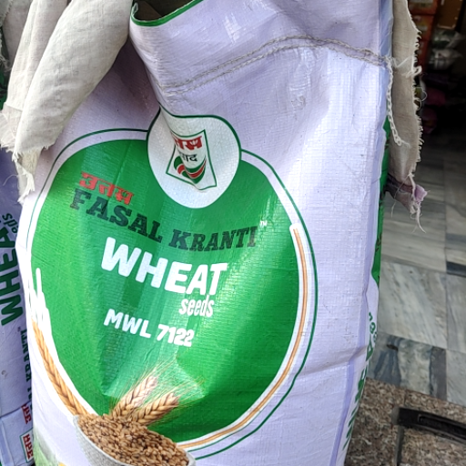 Wheat Product in Rampura Phul - Superior Taste-https://media.vyaparify.com/vcards/products/449338/product_1765441729_693a80c1cd367.png Image