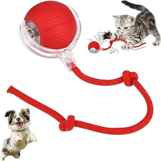 Pet Interactive Playball with Rope in Hyderabad: Durable Interactive Fun-https://media.vyaparify.com/vcards/products/450428/product_1765487419_693b333b350d5.png Image