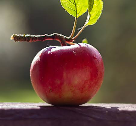 Fruit Shop Apple in Guru Nanak Nagar Gurdaspur - Fresh and Delicious-https://media.vyaparify.com/vcards/products/452764/product_1765547154_693c1c925a8cb.png Image