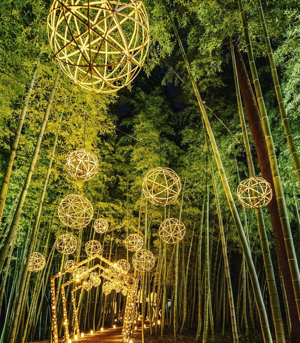 Bambo Art Decor in Adarsh Nagar - Handcrafted Home Decor-https://media.vyaparify.com/vcards/products/453625/product_1765777536_693fa0806a757.png Image