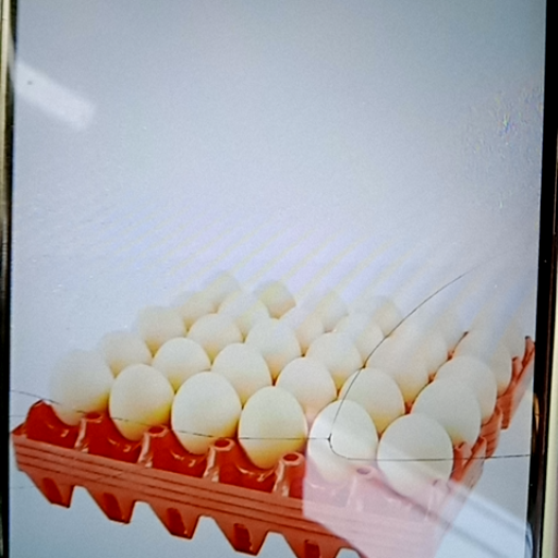 EGG in Jhansi - Fresh Eggs from Hyderabad-https://media.vyaparify.com/vcards/products/454699/product_1765795345_693fe611ed9de.png Image