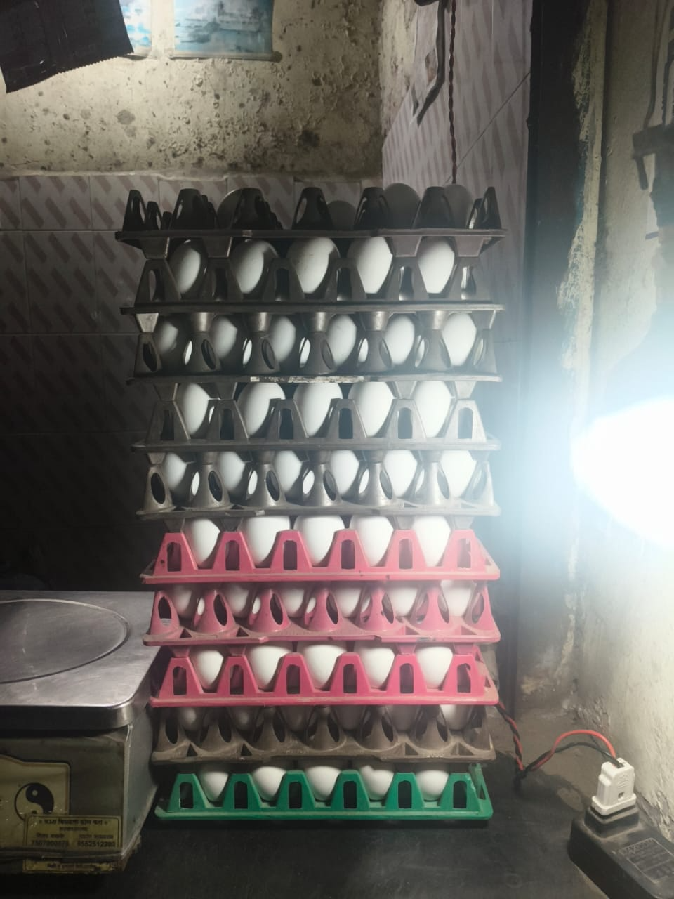 Kitchen Essentials Egg in Pune: Versatile Cooking Solution-https://media.vyaparify.com/vcards/products/455144/product_1765805650_69400e526a053.png Image