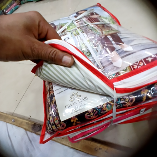 Saree Collection in Agra Fort - Elegant and Timeless-https://media.vyaparify.com/vcards/products/456266/product_1765877548_6941272c6acf1.png Image