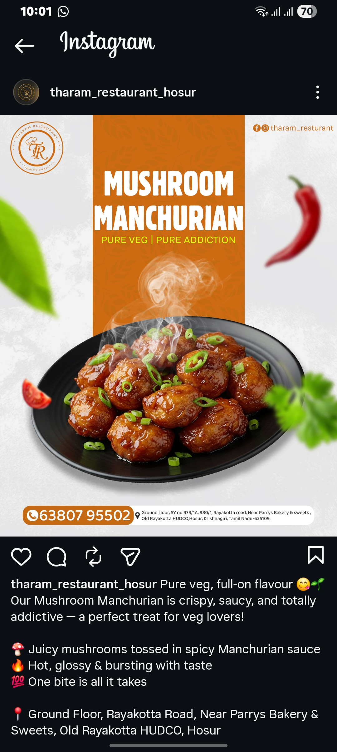 Health Supplements | Mushroom in Hosur | Packed with Essential Nutrients-https://media.vyaparify.com/vcards/products/456614/product_1765883601_69413ed1ef402.png Image