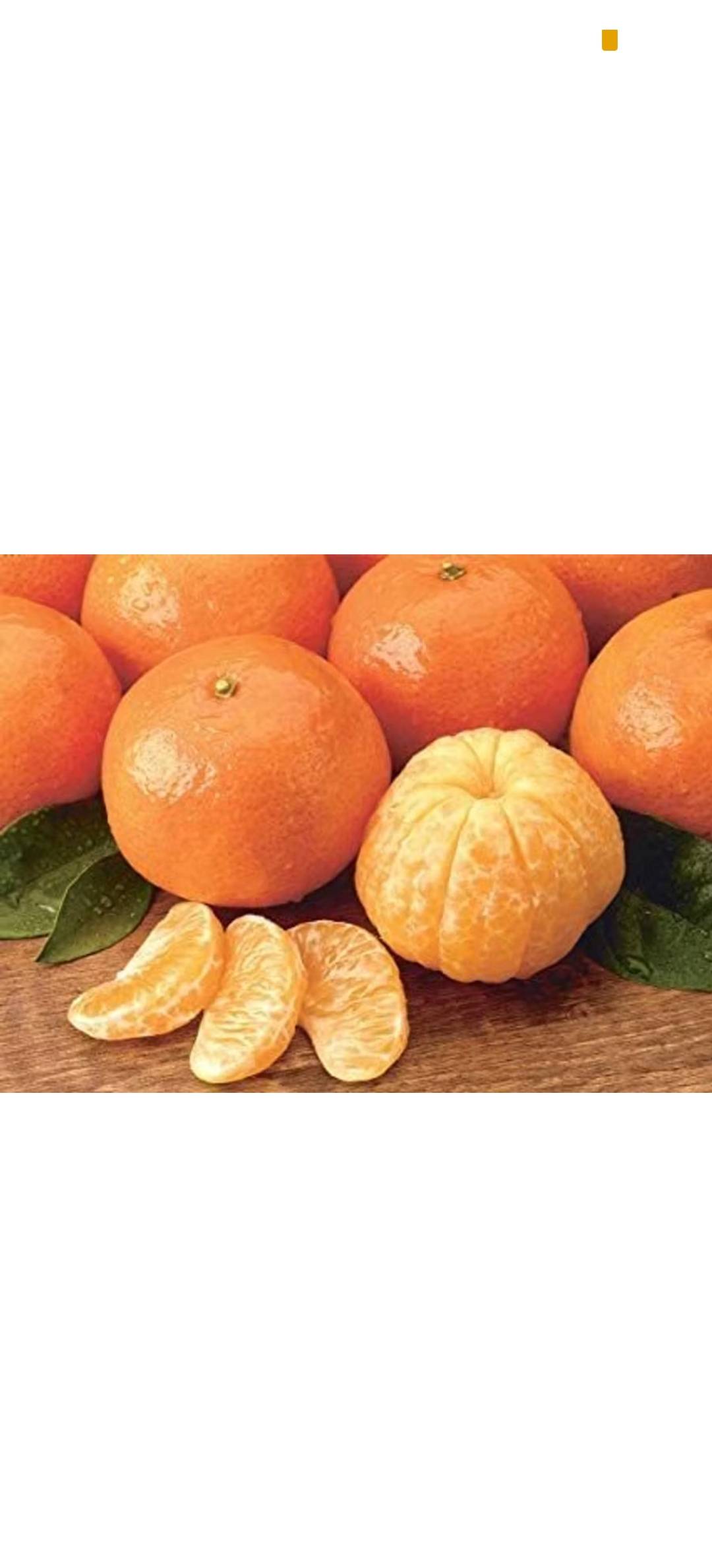 Fresh Oranges in Mandvi - Juicy and Delicious-https://media.vyaparify.com/vcards/products/461643/product_1766126727_6944f487abab5.png Image