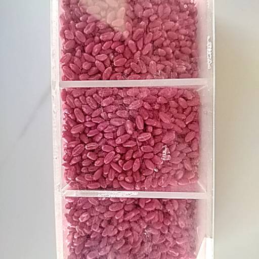 Wheat Product in Shree Shyam, Nutritious Staple for Cooking-https://media.vyaparify.com/vcards/products/463800/product_1766221054_694664fe0e97c.png Image