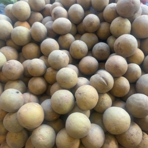 Chiku Fruit in Sehore: Fresh and Delicious-https://media.vyaparify.com/vcards/products/470308/product_1767003250_69525472c30e9.png Image