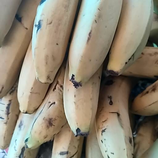 Banana in Alwar: Fresh and Delicious Bananas in Mothi Dugri Rood Nayabass Chorha-https://media.vyaparify.com/vcards/products/474184/product_1767352131_6957a743df14c.png Image