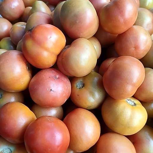 Tamatar in Alwar - Fresh and Delicious-https://media.vyaparify.com/vcards/products/474192/product_1767352250_6957a7ba40ba8.png Image