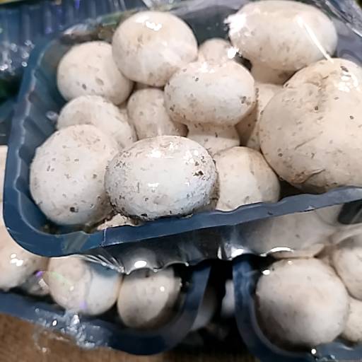 Mushroom in Alwar - Fresh and Nutritious-https://media.vyaparify.com/vcards/products/474286/product_1767353523_6957acb38839a.png Image