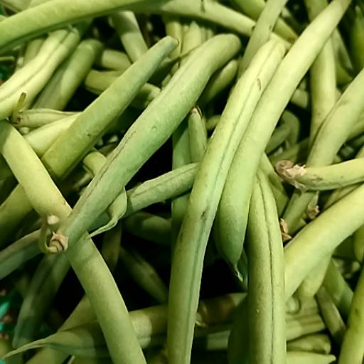 French Beans in Alwar - Fresh and Locally Sourced-https://media.vyaparify.com/vcards/products/474290/product_1767353577_6957ace94d8bb.png Image