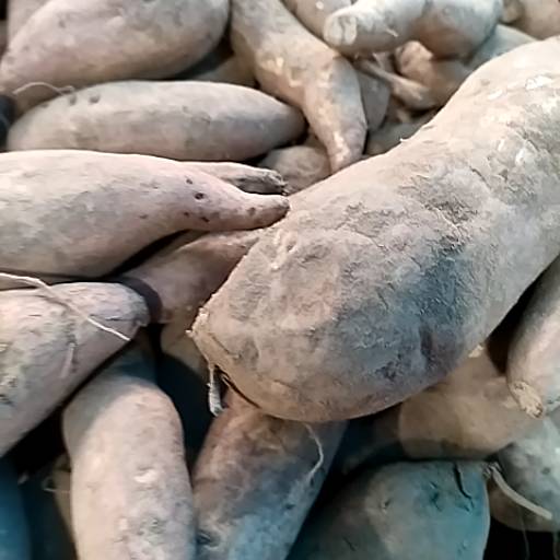 Shakrkandi in Alwar - Sweet and Nutritious-https://media.vyaparify.com/vcards/products/474308/product_1767353938_6957ae52edf24.png Image