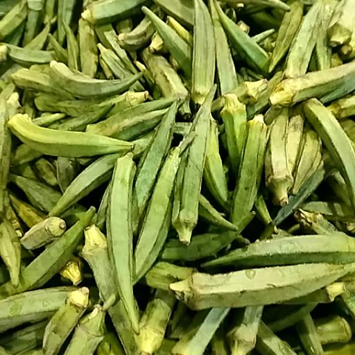 Fresh Bhindi in Alwar: Nutrient-Rich and Locally Sourced-https://media.vyaparify.com/vcards/products/474312/product_1767354007_6957ae9720391.png Image