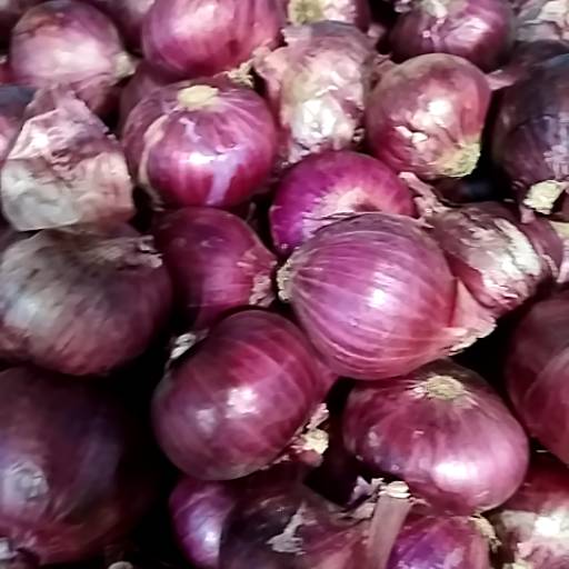 Onion 1000gm in Alwar - Fresh and Locally Sourced-https://media.vyaparify.com/vcards/products/474369/product_1767355298_6957b3a20b218.png Image