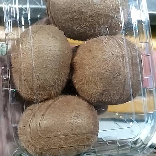 Kiwi Fruit in Alwar: Delicious and Nutritious-https://media.vyaparify.com/vcards/products/474372/product_1767355361_6957b3e15ba54.png Image