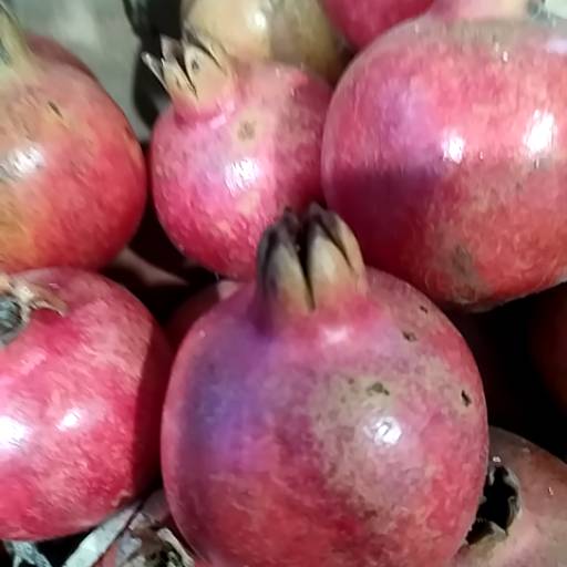 Anaar Fruit in Alwar - Fresh and Juicy Pomegranates-https://media.vyaparify.com/vcards/products/474375/product_1767355440_6957b430c4c8b.png Image