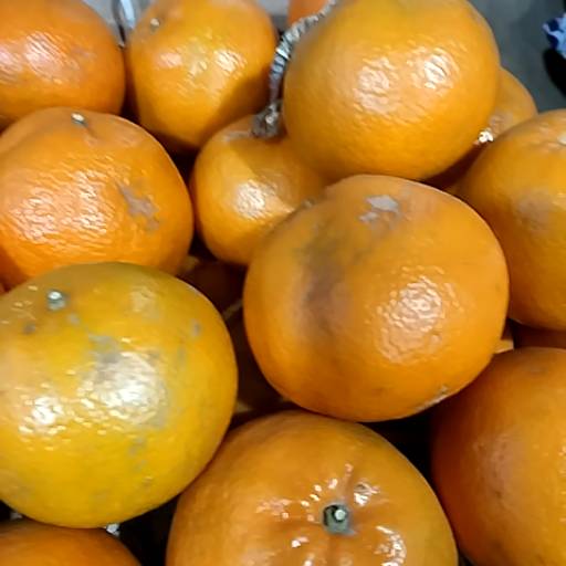 Malta in Alwar - Fresh and Juicy Citrus Fruit-https://media.vyaparify.com/vcards/products/474382/product_1767355573_6957b4b5dabc9.png Image