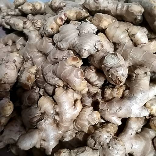 Ginger in Alwar City: Fresh and Aromatic-https://media.vyaparify.com/vcards/products/474390/product_1767355737_6957b559152dd.png Image