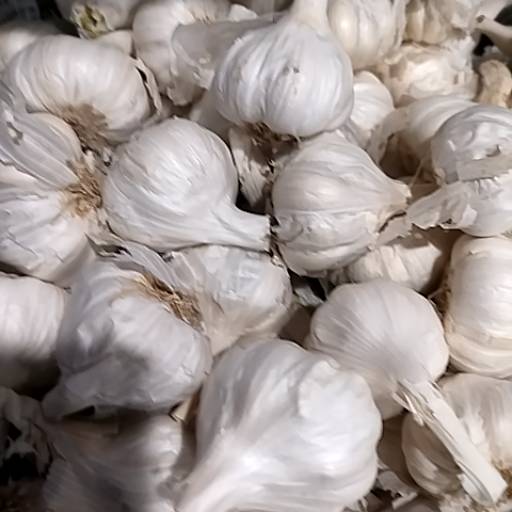 Garlic in Alwar - Fresh and Flavorful-https://media.vyaparify.com/vcards/products/474394/product_1767355797_6957b595e9fb3.png Image