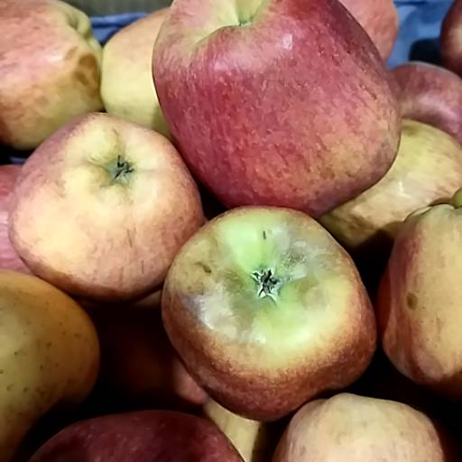 Apple Product in Alwar with 1000-1100gm Weight-https://media.vyaparify.com/vcards/products/474400/product_1767355956_6957b634486ab.png Image