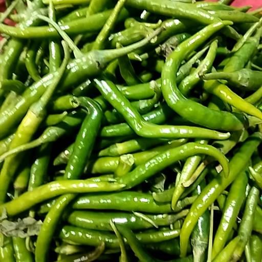  Hari Mirchi Product in Alwar - Spicy and Fresh MAHESH KUMAR SAHU Mothi Dugri Rood  Nayabass Chorha  Nayabass Chorha Motidugri Rood Alwar LANDMARK Nayabass Chorha