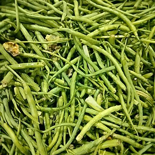  Green Scenery in Alwar: 250-300gm MAHESH KUMAR SAHU Mothi Dugri Rood  Nayabass Chorha  Nayabass Chorha Motidugri Rood Alwar LANDMARK Nayabass Chorha