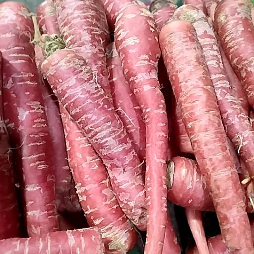 Gajar in Alwar: Fresh and Nutritious-https://media.vyaparify.com/vcards/products/474447/product_1767358042_6957be5adce08.png Image