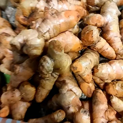 Kacchi Haldi in Alwar - Fresh and Natural-https://media.vyaparify.com/vcards/products/474459/product_1767358267_6957bf3b500e5.png Image