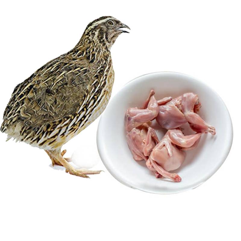 Fresh Quail Meat in Saveriyar Puram: Delicious Poultry Option-https://media.vyaparify.com/vcards/products/474691/product_1767419247_6958ad6f089e9.png Image